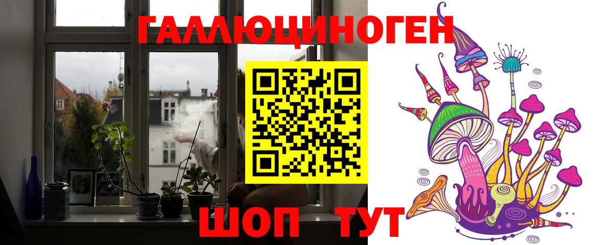 Галлюциногенные грибы прущие грибы  Вход с VPN  Чернушка 