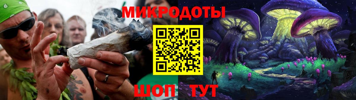 Галлюциногенные грибы Psilocybine cubensis Чернушка